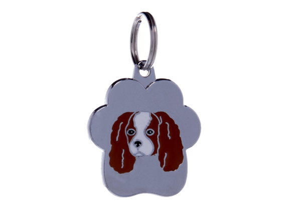 Brun Cavalier King