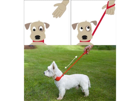 Doodle for dogs – halsbånd med line og refleks